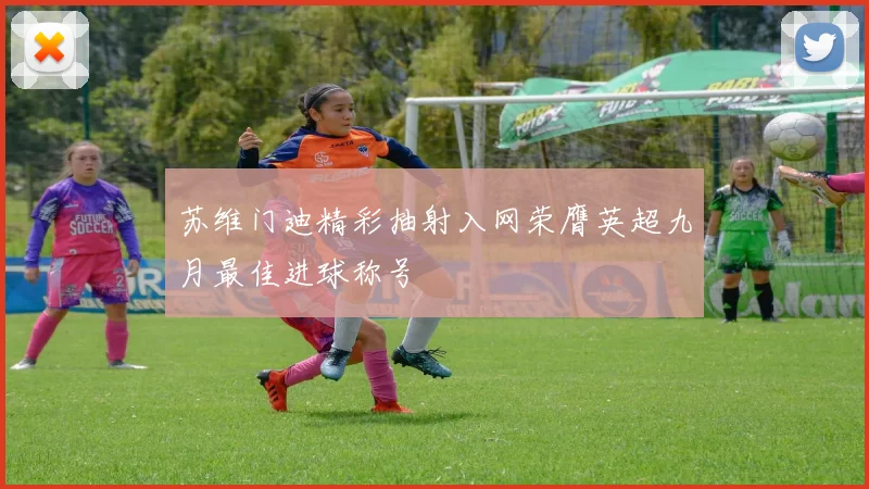 苏维门迪精彩抽射入网荣膺英超九月最佳进球称号