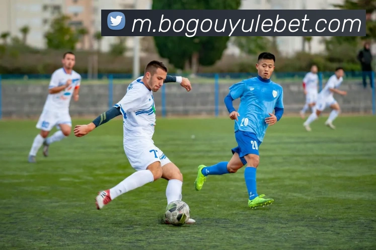 博狗娱乐服务体系